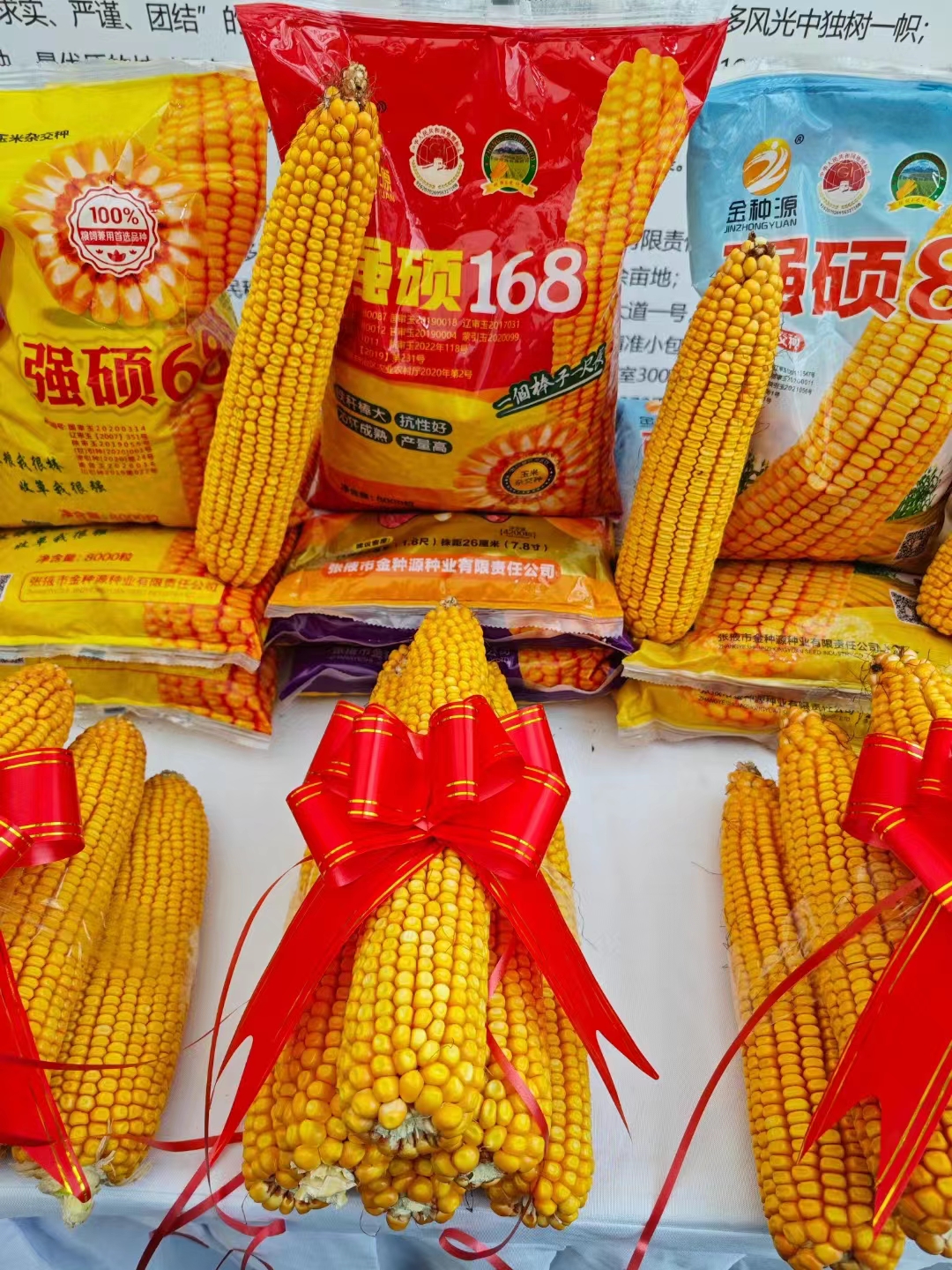 1700038972184260.jpg bb349a31afe24eb182f441e5f445ab9.jpg